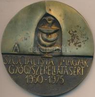 Ligeti Erika (1934-) 1975 "A Szocialista Magyar Gyógyszerellátásért 1950-1975" Br emlékpla...