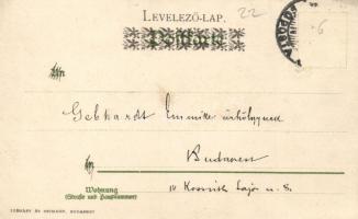 New Year, pig, Wezel & Naumann Serie V. No 1. litho