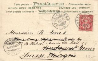 Cat photographer Emb. litho (Rb)