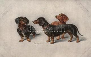 Dogs, Theo Stroefer Serie 1565 No. 4. s: C. Reichert