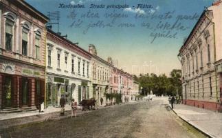 Karánsebes, Fő utca, Tipográfia könvytár / main street, library