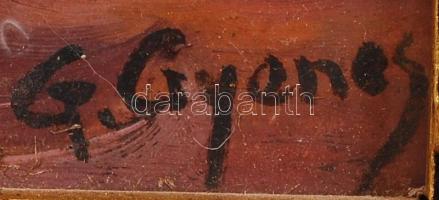 Gyenes jelzéssel: Tükröm, tükröm. Olaj, fa, üvegezett antik keretben, 50×35 cm