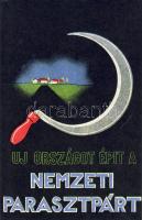 Nemzeti Parasztpárt