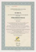 Csurgó 1997. "Napsugár Ruházati Részvénytársaság" sorszámozott törzsrészvénye 1000+10.000+...