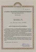 Csurgó 1991. "Napsugár Ruházati Kisszövetkezet" sorszámozott szövetkezeti üzletrésze 10.00...