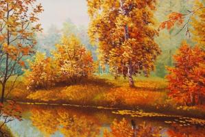 Olvashatatlan jelzéssel: Őszi színorgia. Olaj, farost, 59×79 cm