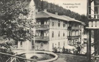 Feketehegy-fürdő, gyógyház / spa