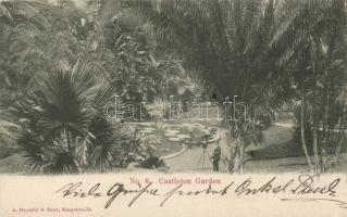 Kingston, Castleton Garden (EK)