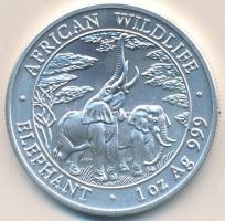 Zambia 2003. 5000K Ag "Elefánt" T:BU 
Zambia 2003. 5000 Kwacha Ag "Elephant" C:B...