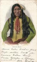 Kicking bear Native American man, Indian, folklore (fa)