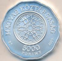 2009. 5000Ft Ag "Dohány utcai zsinagóga" T:BU Tanúsítvánnyal