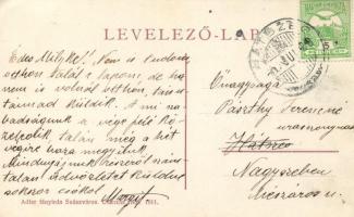 Hátszeg-Karánsebes fogaskerekű vasút / cogwheel railway (EK)