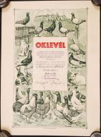 1937 Baromfi, házinyúl és galamb kiállítás galambász oklevél, szép állapotban / pigeon warrant 35x46 cm