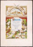 1930-1936 3 db galamb kiállításon adott galambász oklevél, szép állapotban / 3 pigeon warrants 35x46...