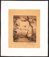 cca 1930 F. Menzl: Rézkarc / etching 15x18 cm kartonon