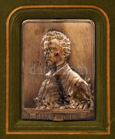 Petőfi Sándor összes költeményei I-II. Hazai művészek rajzaival és a költő arcképével. Budapest 1907...