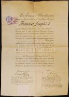 1887-1917 Egy katonaorvos pályafutása okmányokon. Egyetemi beiktató okmánya, vizsgaokmánya, majd had...