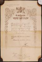 1887-1917 Egy katonaorvos pályafutása okmányokon. Egyetemi beiktató okmánya, vizsgaokmánya, majd had...