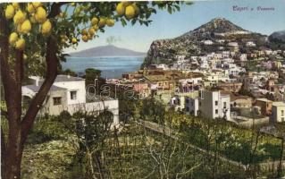 Capri, Mount Vesuvius, lemon trees (fl)