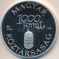 1995. 1000Ft Ag "Régi dunai hajók III - Hableány" T:PP
Adamo EM139