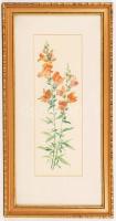F. Fünk jelzéssel: Virágok. Nyomat, aranyozott üveg keretben, 16x46 cm