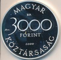 2000. 3000Ft Ag "Veszélyeztetett állatvilág-hód" T:PP