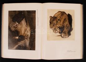 Lyka Károly(szerk.): Művészet, II. évfolyam. Bp., 1903, Singer és Wolfner. Képekkel illusztrált, kia...