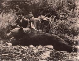 1942 Vadász trófea, Széchenyi Zsigmond Erdélyben, a Dédán elejtett medve mellett, későbbi nagyítás, feliratozva, a vadásztársak nincsenek megnevezve, 18x23 cm