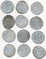 1541-1555. Denár Ag "I.Ferdinánd" 12x csak klf évszámmal! T:1-,2
Huszár 935., Unger II.:74...