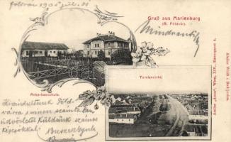 Barcaföldvár, Marienburg; Ackerbauschule / agricultural school, Art Nouveau