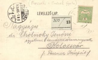 Barcaföldvár, Marienburg; Ackerbauschule / agricultural school, Art Nouveau