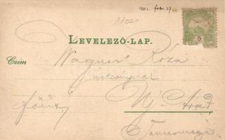 Debrecen, Svetits Intézet, Római katolikus templom, Art Nouveau, litho (EK)