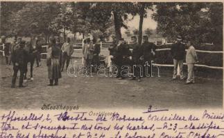 Mezőhegyes, Osztályozás (EK)