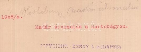 cca 1920-1930 Kerny István (1879-1963): Madarak vonulása a Hortobágy felett, pecséttel jelzett, feli...