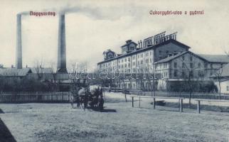 Nagysurány, Cukorgyári utca, Cukorgyár, Deutsch Ármin kiadása / sugar factory
