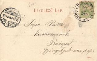 Rimaszombat, Blaha Lujza szülőháza / Lujza Blaha's home, Art Nouveau (EK)