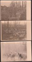 1916 Katonai fotók, szögesdrót akadályok készítése, lövészárok építése, 3 db fotólap, kettő feliratozva, 9x14 cm / 1916 Military photos from the world war I., trench and barbed-wire fence, 3 photocards, descritpion on the verso, 9x14 cm