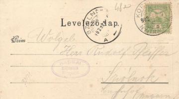 Kopcsány, Kopcany; komp / ferry, Art Nouveau (EK)