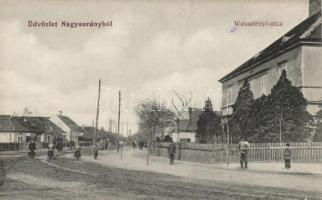 Nagysurány, Wesselényi utca / street