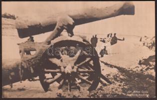 cca 1914-1918 Dr. Méhes Gyula: A pihenő mastodon, a Hadisegélyező Hivatal fotólapja, a hadifénykép kiállítás emblémájával, 9x14 cm