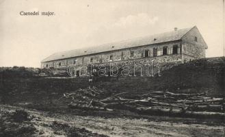 Csenede, major / farm