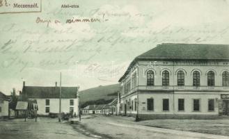 Mecenzéf, Alsó utca, Vendégház / street, guest house