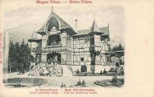 Ótátrafüred, József főherceg villája, Divald Adolf kiadása / villa (fl)