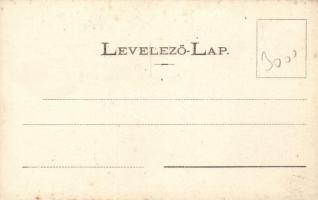 Ótátrafüred, József főherceg villája, Divald Adolf kiadása / villa (fl)