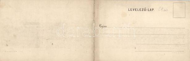 Igló, Keményítőgyár, Szövőgyár, szálloda, Evangélikus és katolikus templom, színház, Állami faipari ...