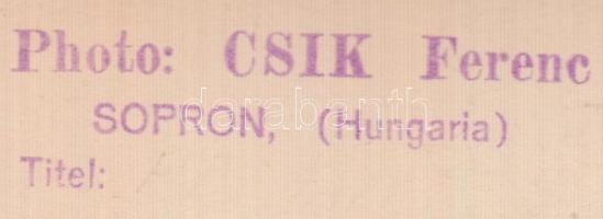 1944 Csík Ferenc (1894-1984): Kivándorló, pecséttel jelzett vintage fotóművészeti alkotás, 20x17 cm