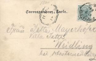 Vienna, Wien; alten Mariahilferlinie, Aug. Brückner's Tiroler Weinstube, interior, floral, arti...