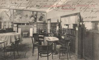 Grimmenstein an der Aspangbahn, Sanatorium, Musikzimmer / sanatorium, music room, interior