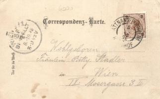 1898 Attnang-Puchheim, street, floral, litho (EK)