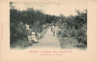 Vízakna-Sósgyógyfürdő, Park; kiadja Takáts Jenő